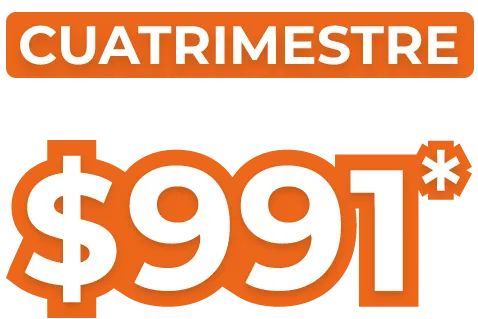 Universidades en linea